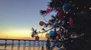 Christmas tree with a beach background, representing "How long will your retirement be"